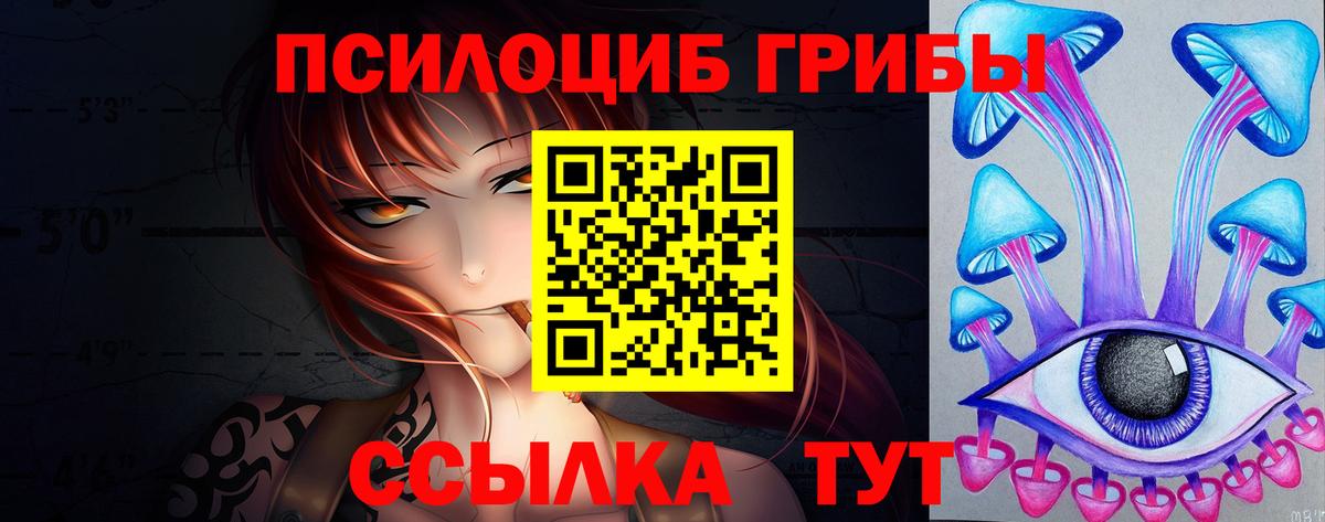 Мценск  Галлюциногенные грибы прущие грибы  Вход с VPN 